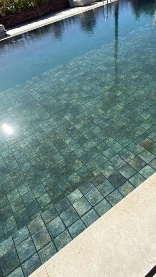 Mantenimiento Piscina y Jardinería