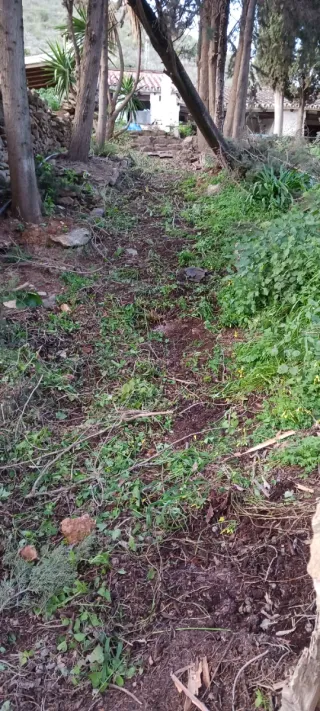 Mantenimiento Piscina y Jardinería