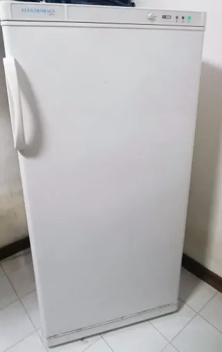 Congelatore Verticale Siltal. RITIRO ENTRO IL 4/3