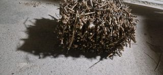 Gavillas de sarmiento