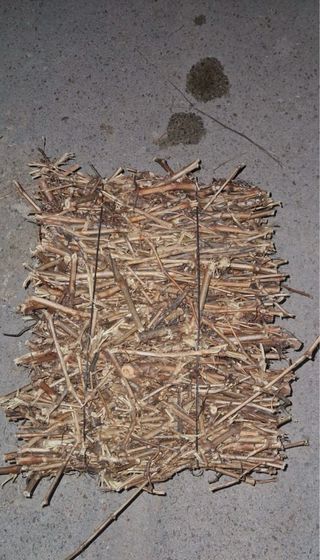 Gavillas de sarmiento