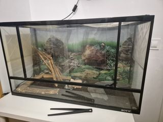 Terrario para reptiles