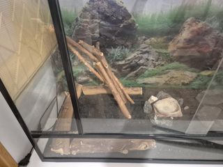 Terrario para reptiles