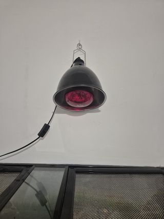 Terrario para reptiles