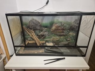 Terrario para reptiles
