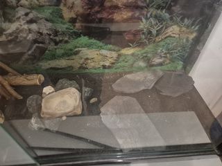 Terrario para reptiles
