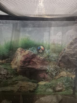 Terrario para reptiles