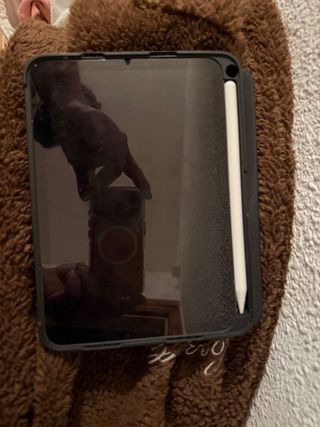 Cambio iPad mini 6ª gen 64GB