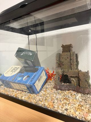 Pecera con filtro y decoración