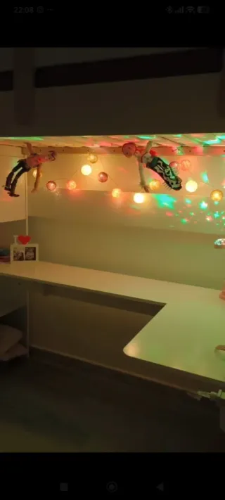 Cama litera con escritorio