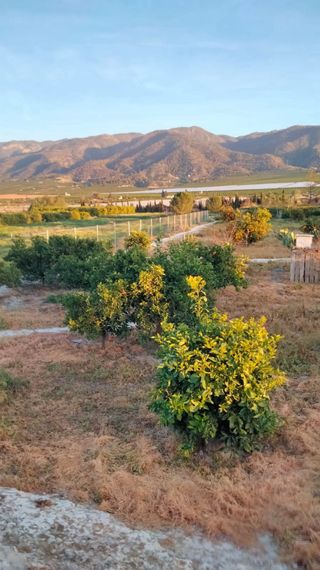 Se vende parcela en Librilla (Murcia)