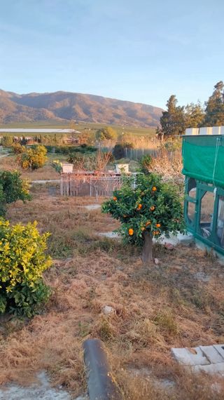 Se vende parcela en Librilla (Murcia)