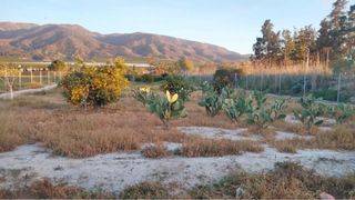 Se vende parcela en Librilla (Murcia)