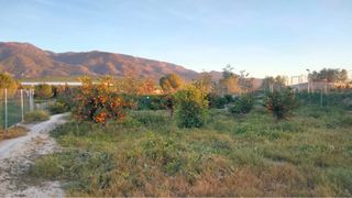 Se vende parcela en Librilla (Murcia)