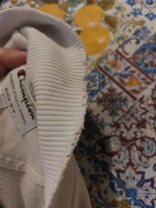 Set 2 Felpe Zip Champion (L) Everlast (M)