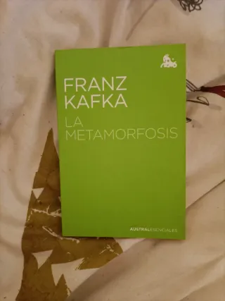 Lote austral esenciales