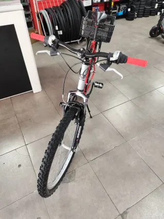 Bicicleta de montaña Di Terzo