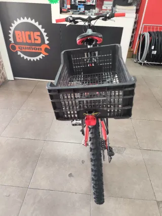 Bicicleta de montaña Di Terzo