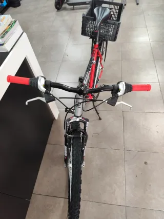 Bicicleta de montaña Di Terzo