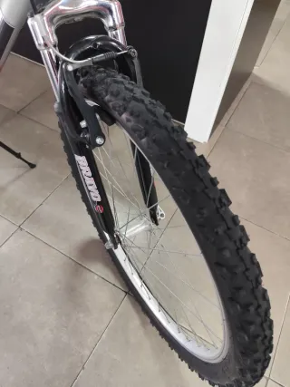 Bicicleta de montaña Di Terzo