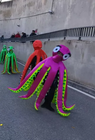 Disfraz Pulpo Fucsia