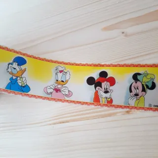 Nastro regalo Disney