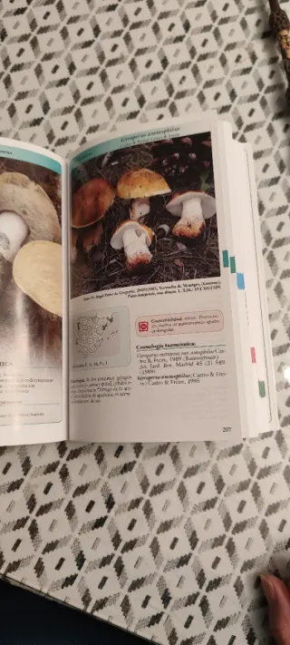 Guía de los boletos de España y Portugal