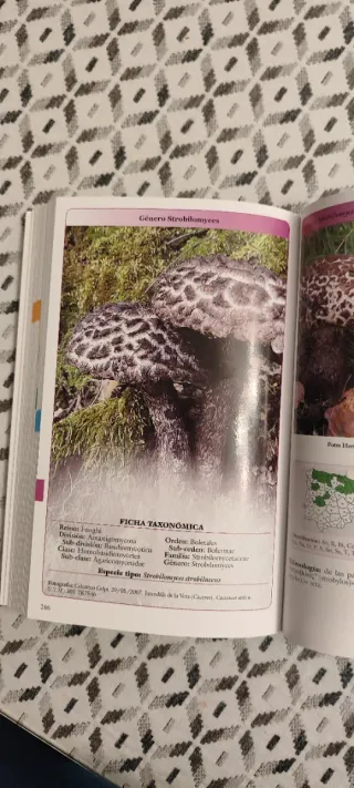 Guía de los boletos de España y Portugal