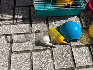 Jaula y accesorios para hámster