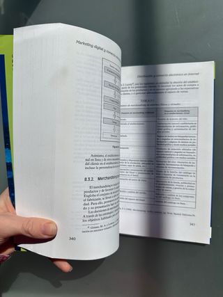 Marketing digital y comercio electrónico (Spani...