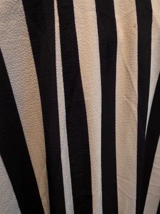 Mono a rayas blanco y negro