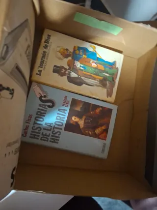 Bambi Pocajontas y mas preguntar sin compromiso