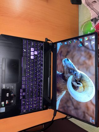 ASUS TUF F15 i5/16GB/512 GTX1650 144Hz