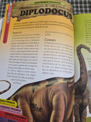 OFERTÓN LOTE ANIMALES