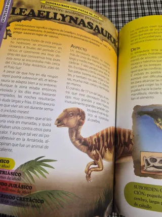 OFERTÓN LOTE ANIMALES