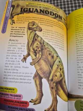 OFERTÓN LOTE ANIMALES