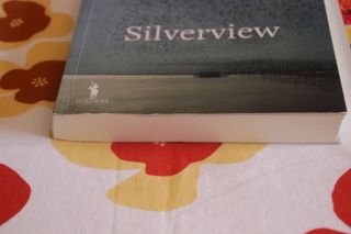 Silverview (Portuguese Edition)