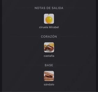 Perfume Noble Greatness 100ml