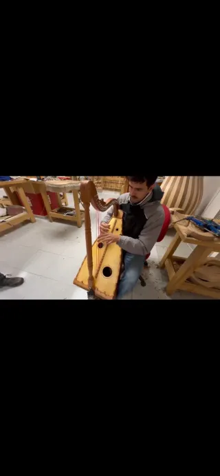 Arpa Mexicana 27 Cuerdas