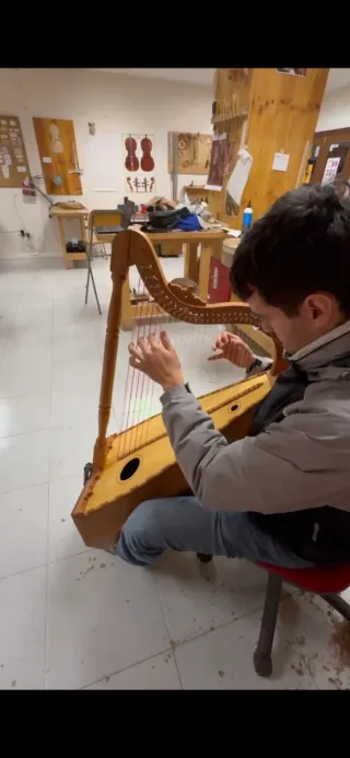 Arpa Mexicana 27 Cuerdas