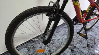 Bicicleta infantil DENBIKE 24 pulgadas