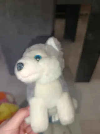 Peluche cane husky