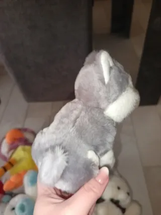 Peluche cane husky
