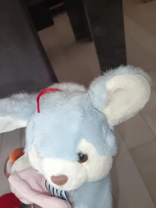 Peluche Orsetto Azzurro con Cornice