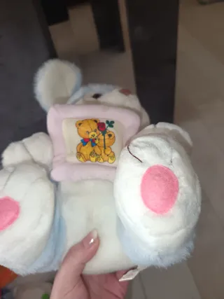 Peluche Orsetto Azzurro con Cornice