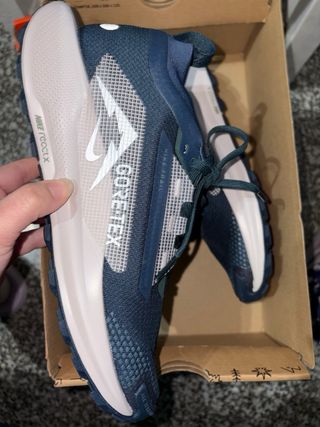 Nike Pegasus Trail 5 Gore-Tex