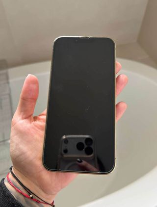 iPhone 13 Pro Max 256GB Oro