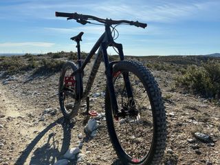 Bici de enduro rigida Dartmoor Hornet talla M