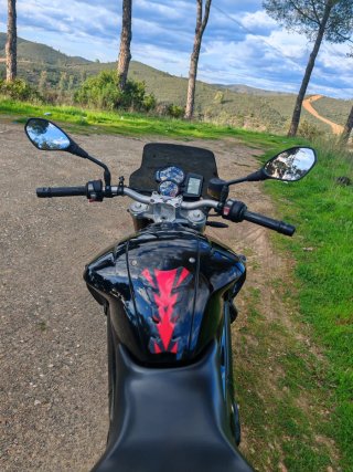 BMW f800r