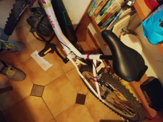 Bicicleta Denbike 24 poco uso